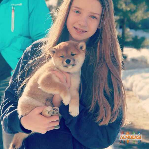 Маша  Прохорычева фото №837628. Загружено 22 Марта 2015