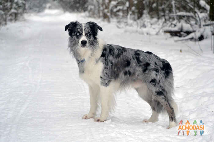 Марина Николаевна Шикалова фото №1127014. Загружено 23 Декабря 2016