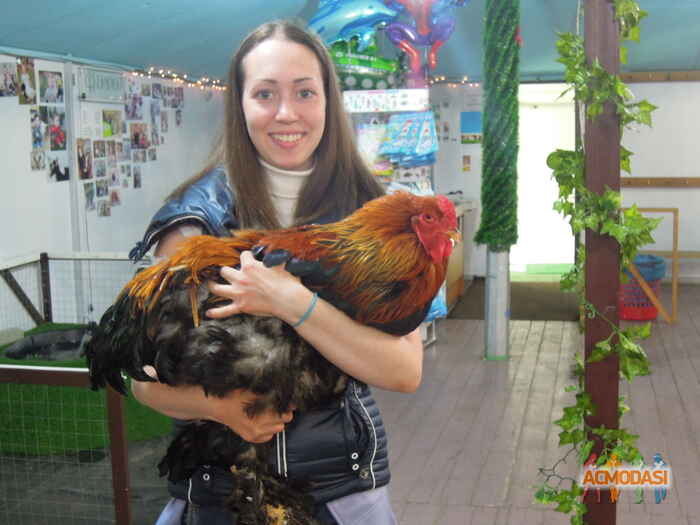 Елена   фото №876245. Загружено 20 Июня 2015