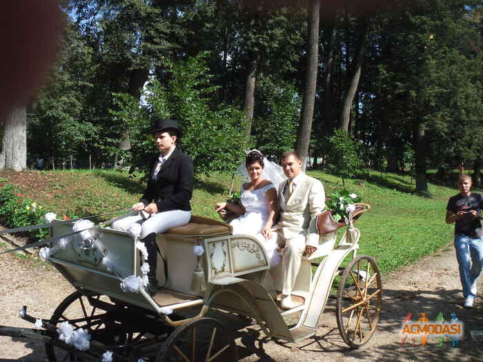 Кузьмина Ольга Сергеевна фото №171725. Загружено 25 Марта 2012