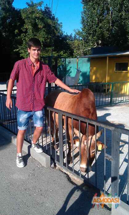 Илья Юрьевич Струпинский фото №574058. Загружено 17 Января 2014