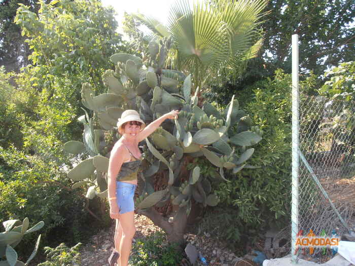 Маршук  Валентина Ивановна фото №83515. Загружено 09 Октября 2011