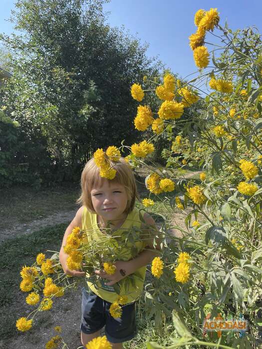 Арсений  Пчелкин фото №1856579. Загружено 03 Июня 2023