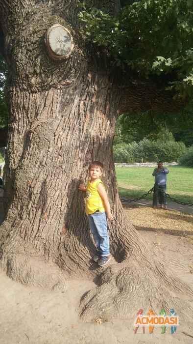 Виталий  Осипенко фото №938594. Загружено 14 Октября 2015