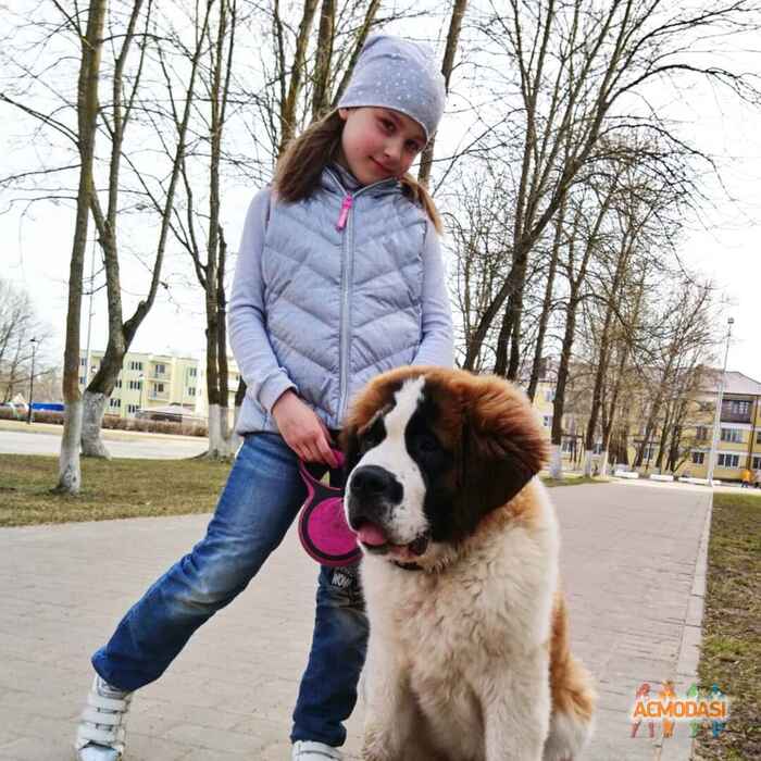 Анастасия Олеговна Чернова фото №1449375. Загружено 19 Апреля 2019