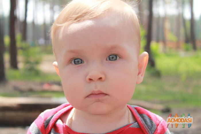 Давид Иванович Савенок фото №730349. Загружено 12 Сентября 2014