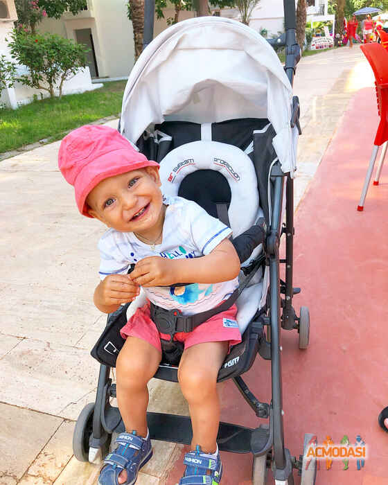 Владимир Евгеньевич Фучеджи фото №1360765. Загружено 20 Августа 2018