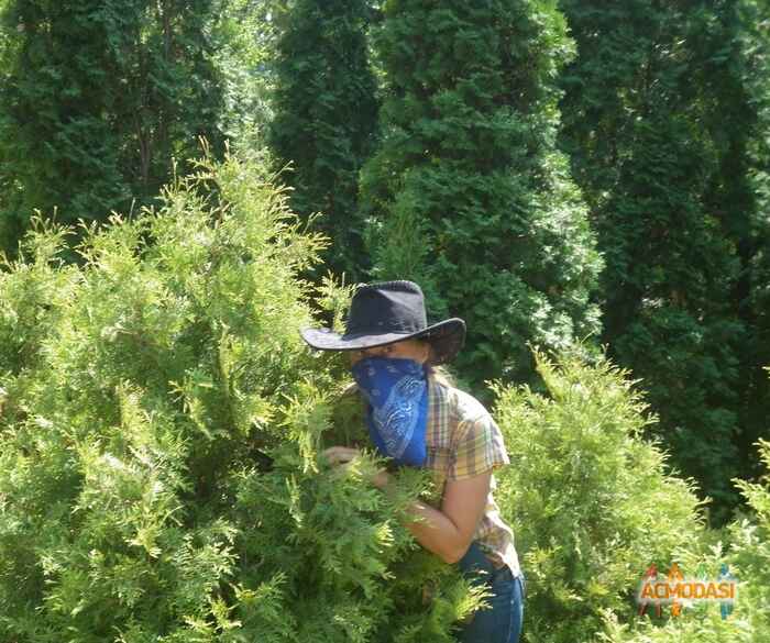 Мария Георгиевна Кулешова фото №939282. Загружено 15 Октября 2015