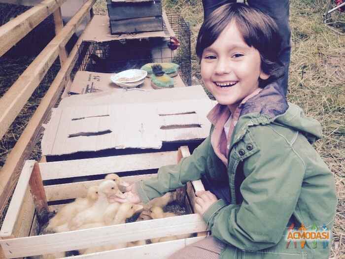 Klym Oleksandrovych Orlov фото №919823. Загружено 11 Сентября 2015