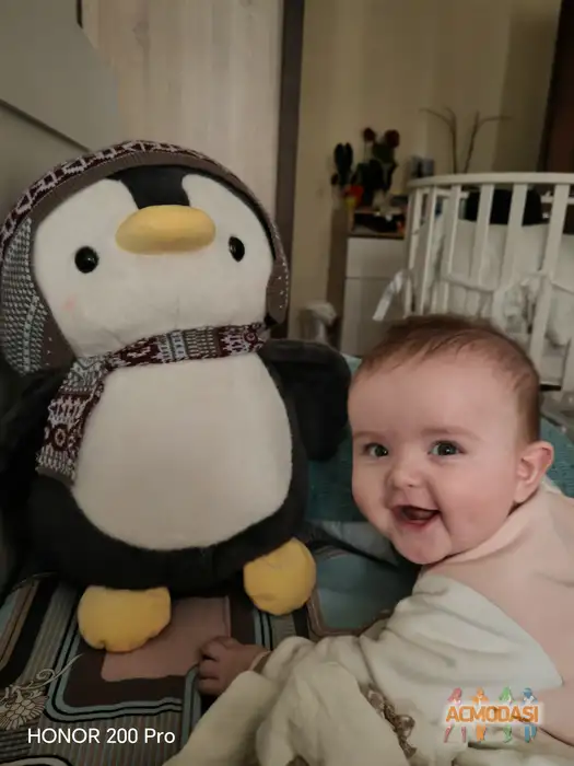 Наталия  Рубель фото №1943714. Загружено 15 Декабря 2025