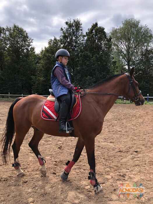 Егор   фото №1635777. Загружено 06 Сентября 2020