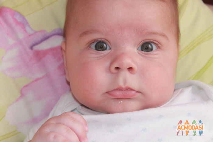 Давид  Липовецкий фото №700837. Загружено 31 Июля 2014