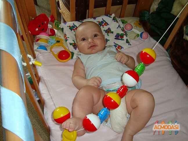 Елисей Андреевич Журавлев фото №55281. Загружено 07 Августа 2011