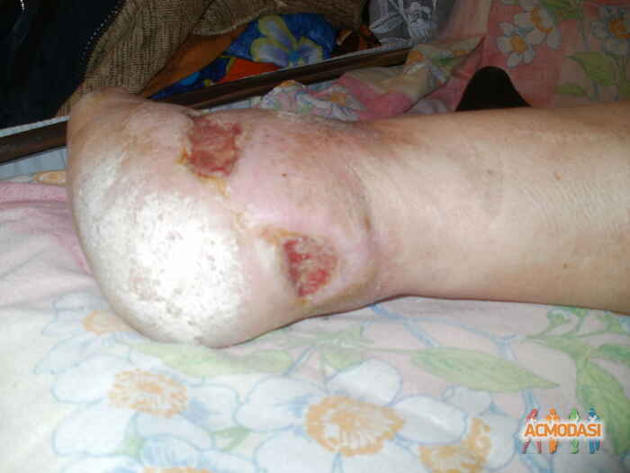 Владимир Николаевич Доценко фото №669011. Загружено 12 Июня 2014