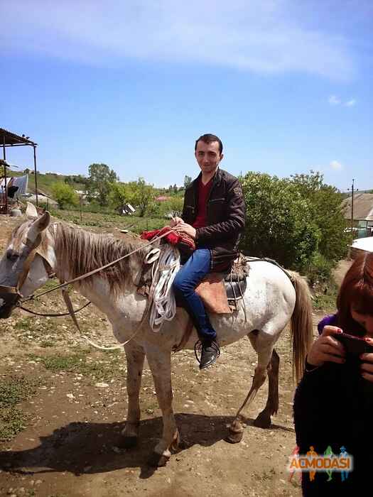 Ильгар  Аскеров фото №880359. Загружено 29 Июня 2015