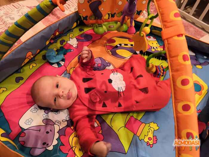 Мирон  Машнов фото №1441360. Загружено 01 Апреля 2019