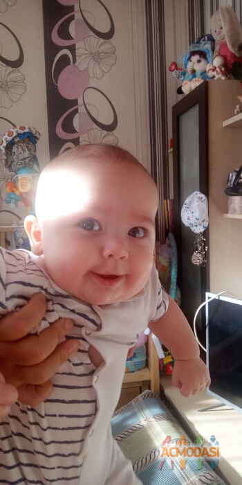 Александр  Смирнов фото №1641405. Загружено 26 Сентября 2020