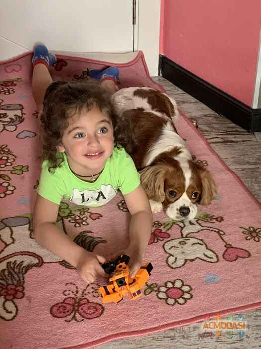 Tеодор Константинович Лесин фото №1710537. Загружено 27 Мая 2021