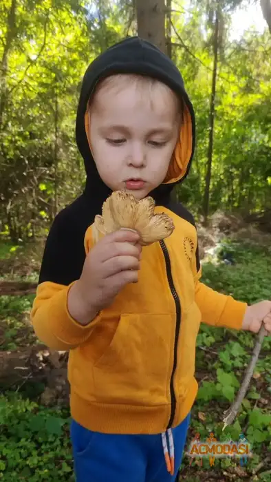 Добрыня Русский Богатырь Актёр кино, модель фото №1940276. Загружено 03 Ноября 2025