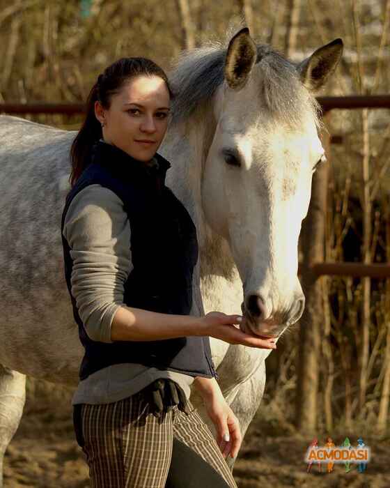 Дмитрий   фото №1350067. Загружено 26 Июля 2018