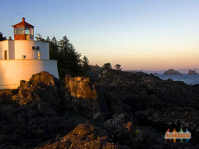 деркач   фото №673318. Загружено 18 Июня 2014