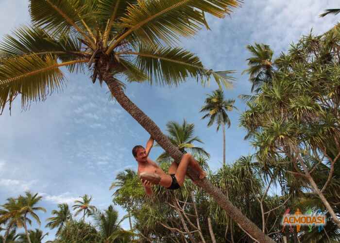 Максим  Горпненюк фото №137965. Загружено 26 Января 2012