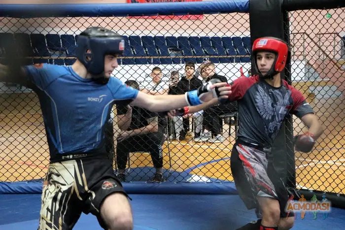 Даниил  Дюков фото №1942982. Загружено 04 Декабря 2025