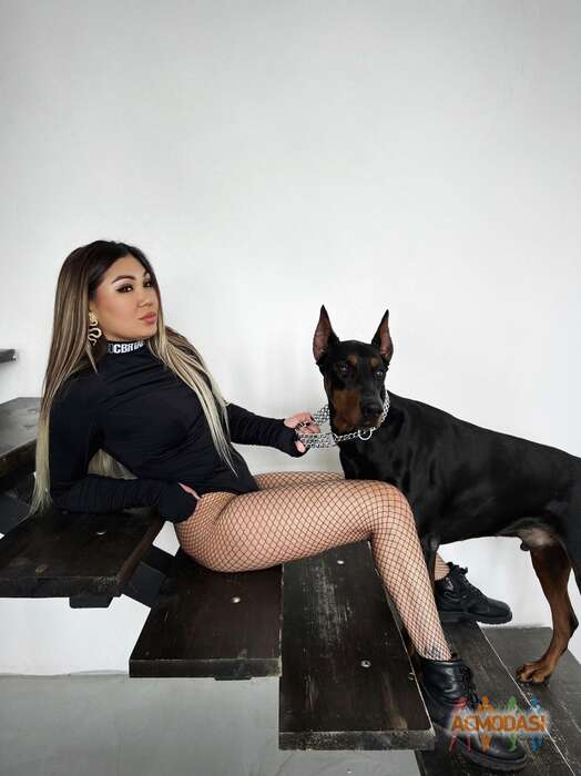 Диана Ринатовна Димухаметова фото №1848436. Загружено 21 Марта 2023