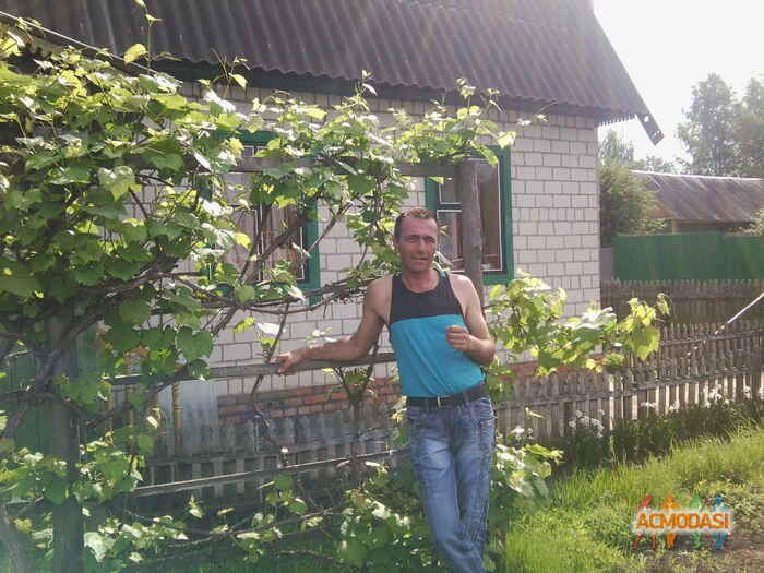 Виталий  Иванович фото №471902. Загружено 16 Августа 2013