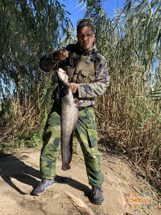 Дмитрий  В фото №1745689. Загружено 30 Сентября 2021