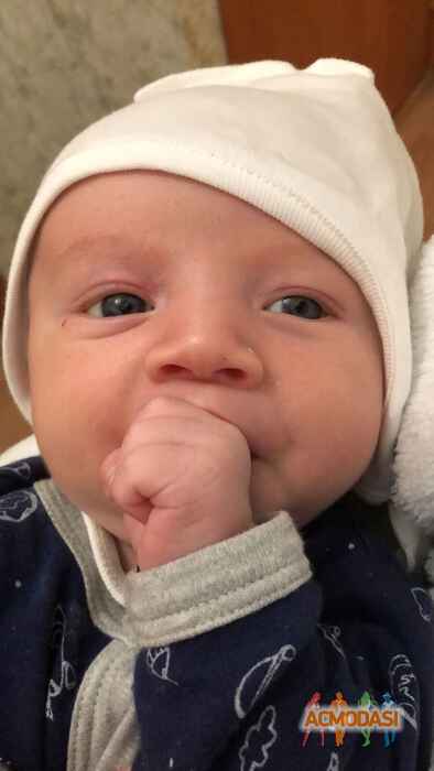 Леонид Даниилович Скрипка фото №1448690. Загружено 17 Апреля 2019