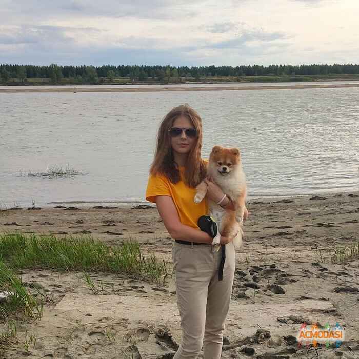 Виолетта  Серебренникова фото №1618260. Загружено 11 Июля 2020