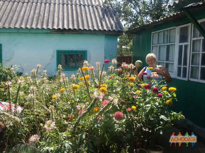 Екатерина Александровна Горбачева фото №514173. Загружено 19 Октября 2013