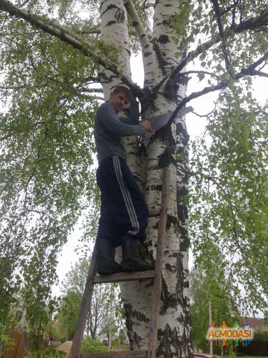 Анатолий  Султанов фото №551504. Загружено 12 Декабря 2013