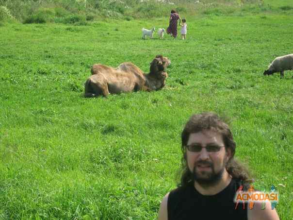 Александр   фото №965437. Загружено 09 Декабря 2015