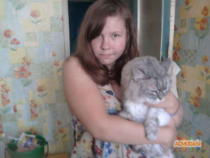 Нина   фото №1144558. Загружено 08 Февраля 2017