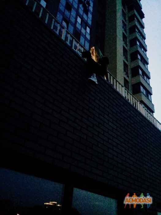 Katerina  Fetisova фото №1395819. Загружено 20 Ноября 2018