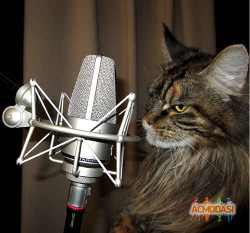 Александр  Бережко фото №649522. Загружено 08 Мая 2014