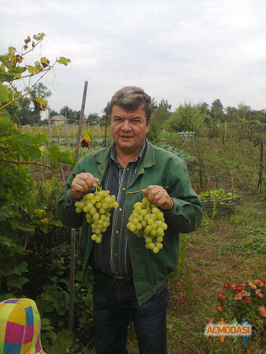 Сергей Владимирович Ковалев фото №662165. Загружено 01 Июня 2014