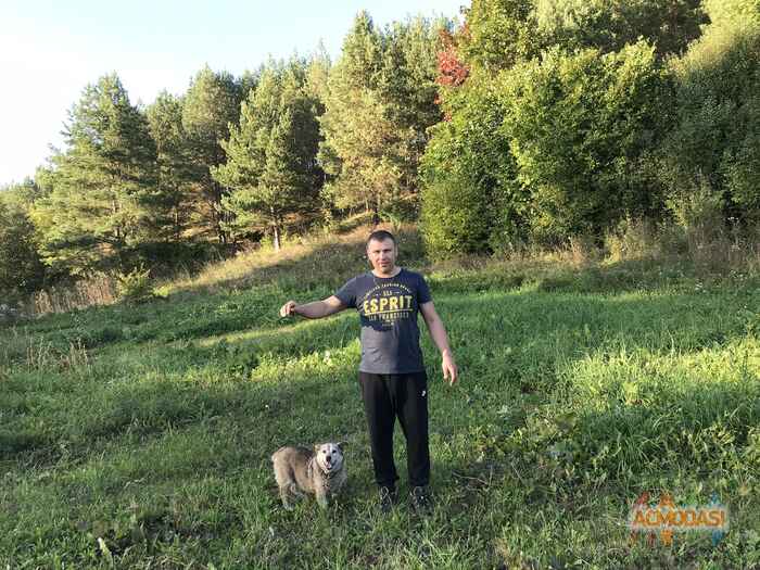 Сергей  Панкеев фото №1672208. Загружено 09 Января 2021