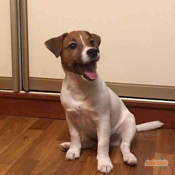 Шон- Кристиан   фото №1700216. Загружено 17 Апреля 2021