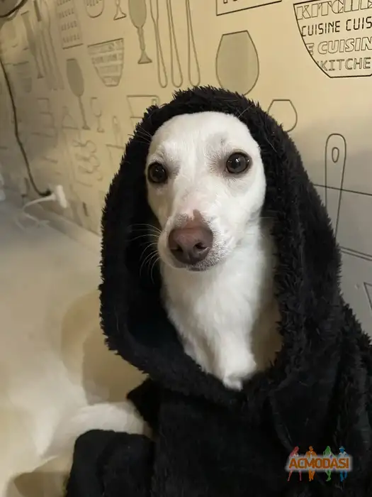 Малика   фото №1941158. Загружено 11 Ноября 2025