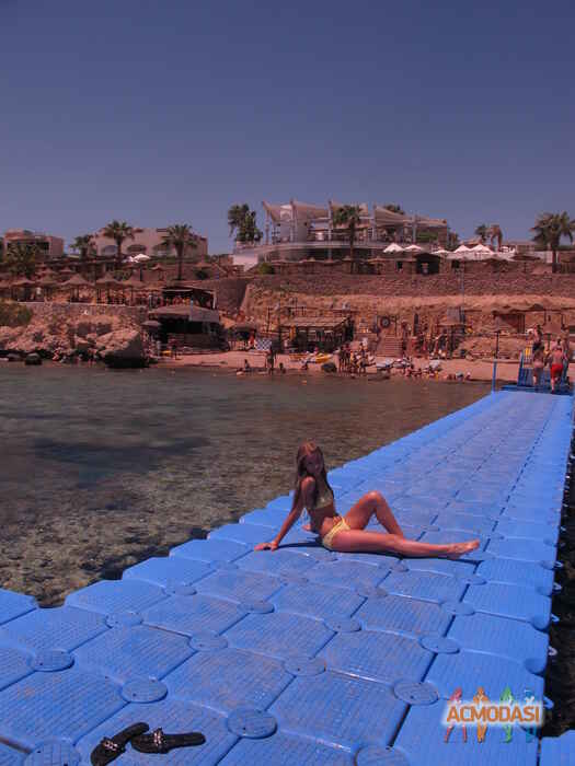 Алиса  Немтинова фото №428803. Загружено 14 Июня 2013