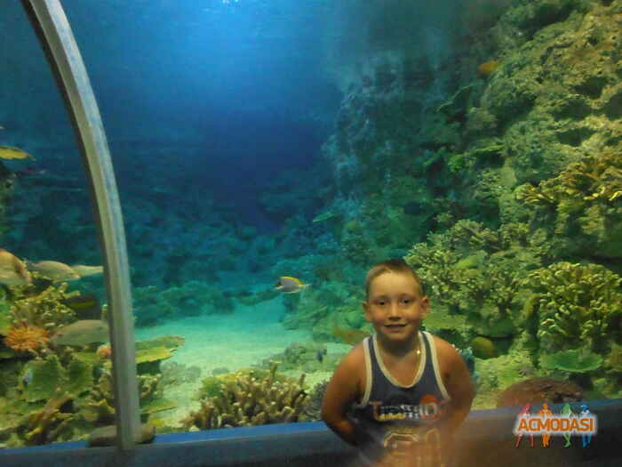 Егор Артемович Некрасов фото №296844. Загружено 24 Ноября 2012