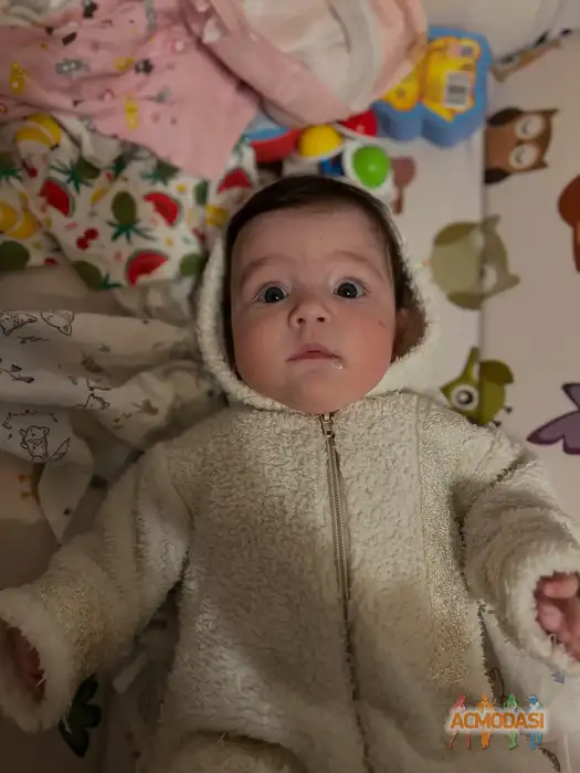 Валерия  Набатчикова фото №1937481. Загружено 28 Сентября 2025