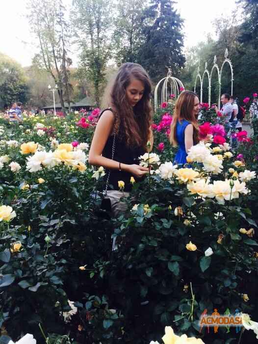 Ксения Юрьевна Богданова фото №928670. Загружено 29 Сентября 2015