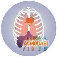 Raf  Raf фото №849800. Загружено 16 Апреля 2015