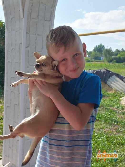 Дмитрий  Коровин фото №1623151. Загружено 27 Июля 2020