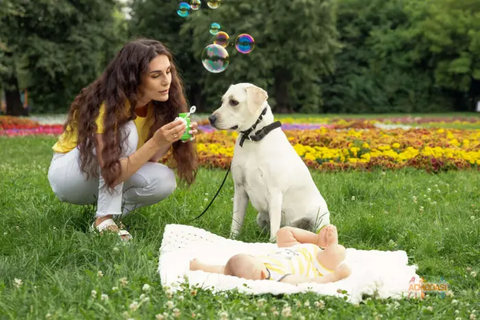 Viki   фото №1852316. Загружено 25 Апреля 2023