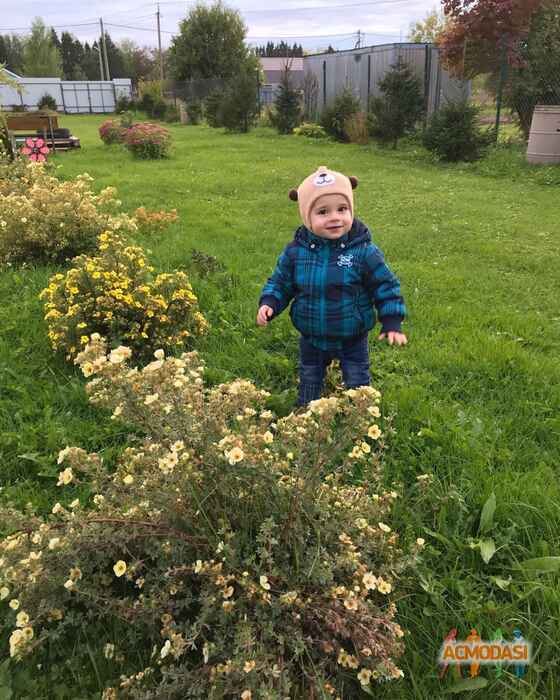 Никита   фото №1526621. Загружено 16 Октября 2019